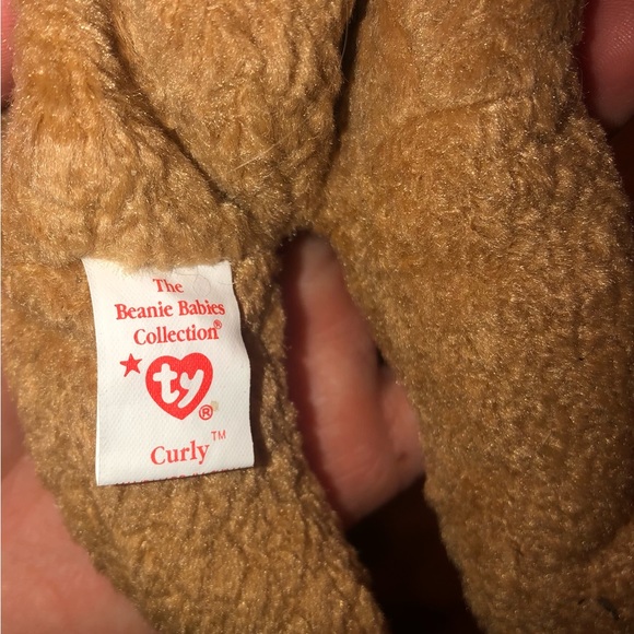 11 Beanie Babies- Bears, Retired, Rare - Picture 5 of 16